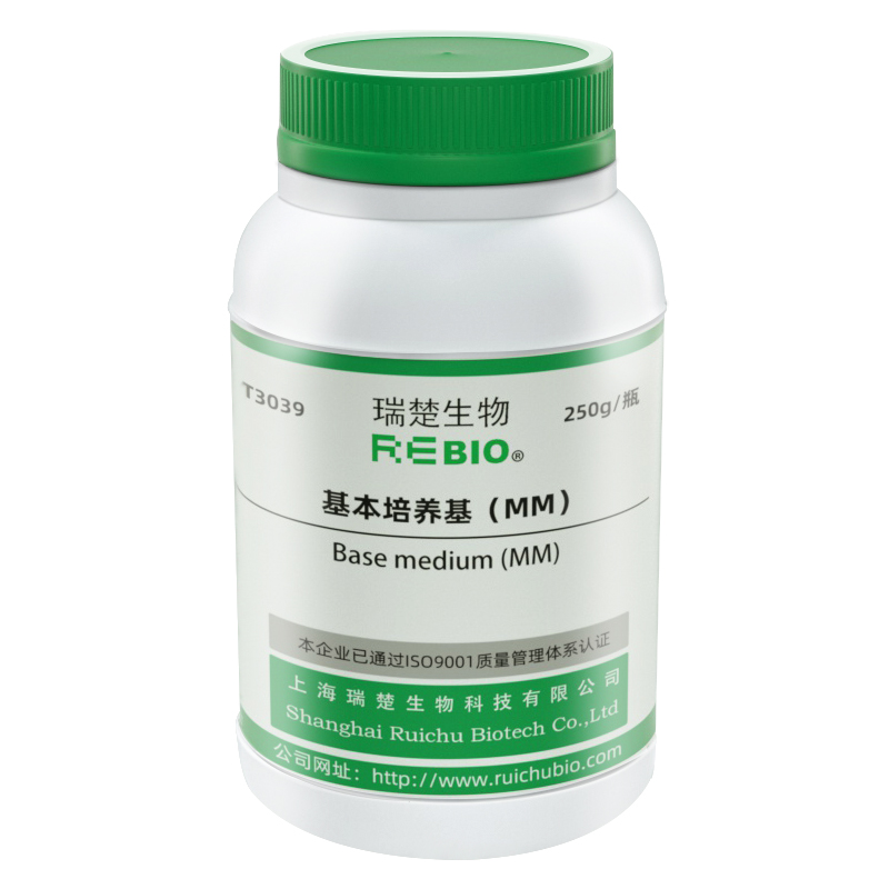 基本培养基（MM）